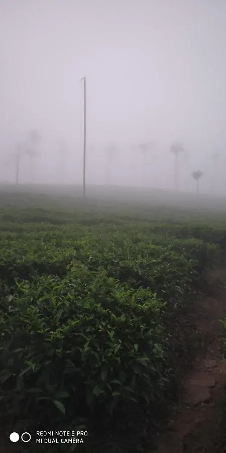 Aldora Holiday Homes Vythiri 0*,
