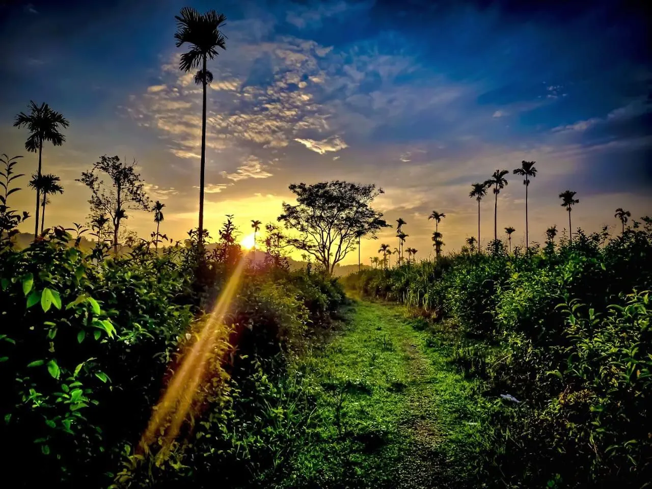 Aldora Holiday Homes Vythiri 0*,