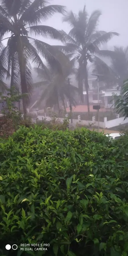 Pansiyon Aldora Holiday Homes Vythiri