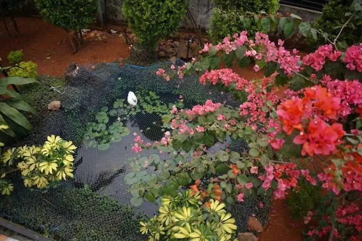 Pansiyon Aldora Holiday Homes Vythiri
